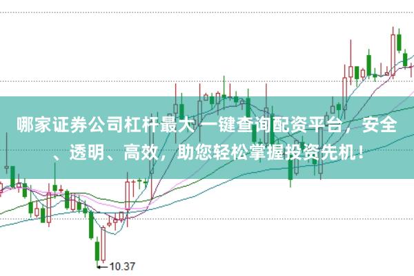 哪家证券公司杠杆最大 一键查询配资平台，安全、透明、高效，助您轻松掌握投资先机！