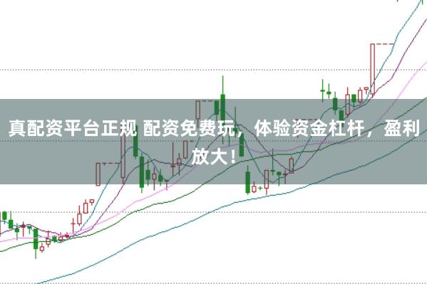 真配资平台正规 配资免费玩，体验资金杠杆，盈利放大！