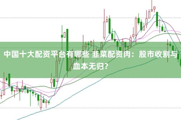 中国十大配资平台有哪些 韭菜配资肉:股市收割与血本无归?