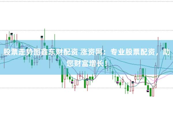 股票走势图鑫东财配资 涨资网：专业股票配资，助您财富增长！