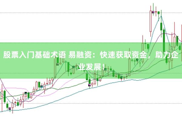 股票入门基础术语 易融资：快速获取资金，助力企业发展！