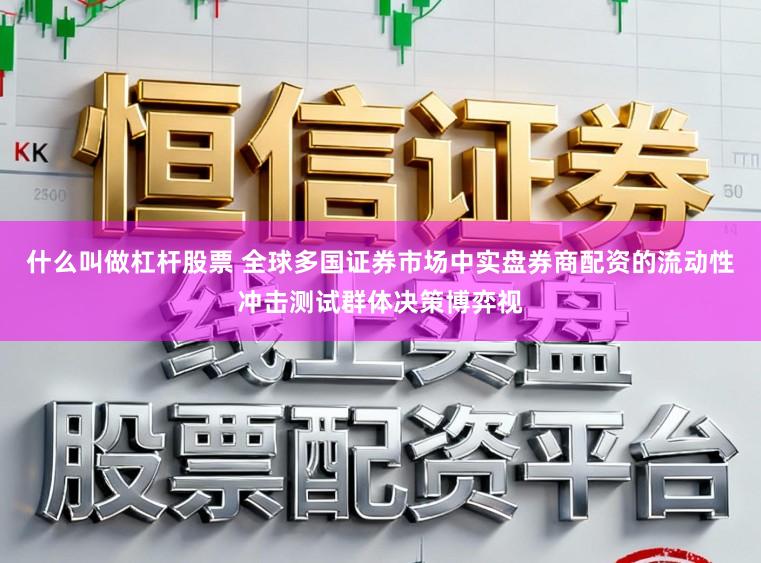 什么叫做杠杆股票 全球多国证券市场中实盘券商配资的流动性冲击测试群体决策博弈视