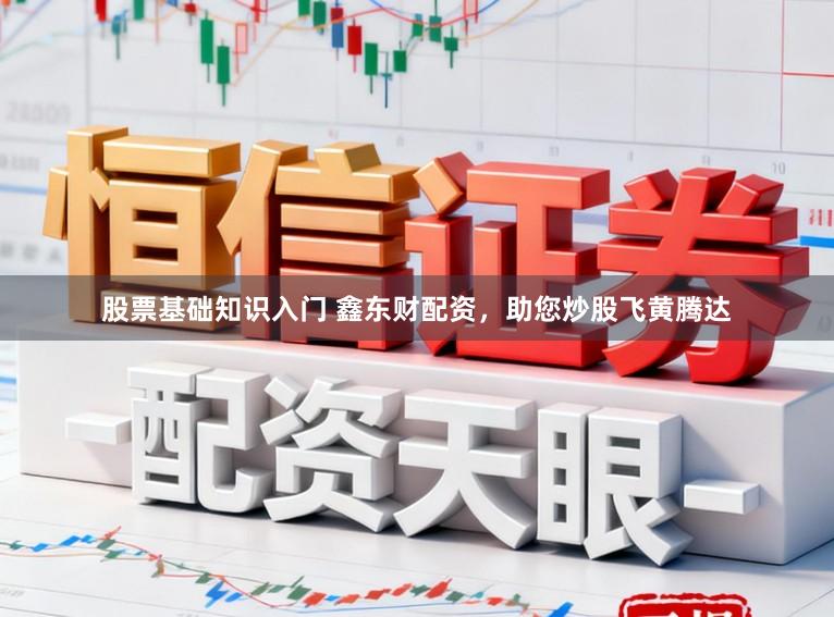 股票基础知识入门 鑫东财配资，助您炒股飞黄腾达