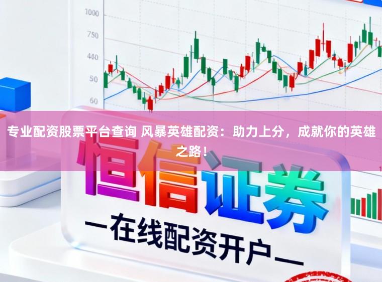 专业配资股票平台查询 风暴英雄配资：助力上分，成就你的英雄之路！